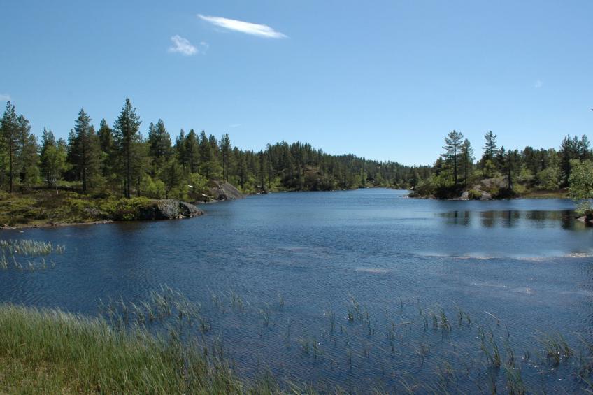 Knodden (SOW180) - foto 38