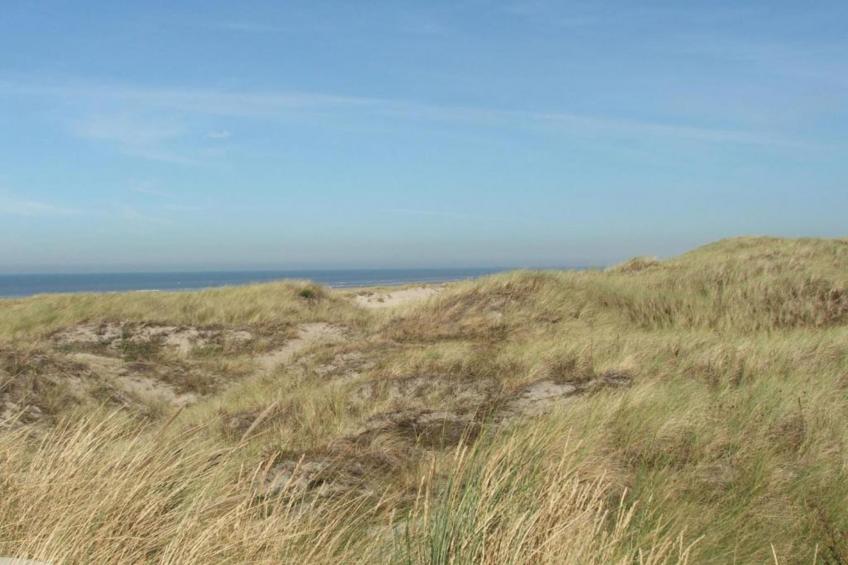 Resort Beach Houses Wijk aan Zee 3 - foto 31