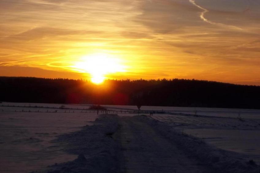 Auf den Gärten - foto 18