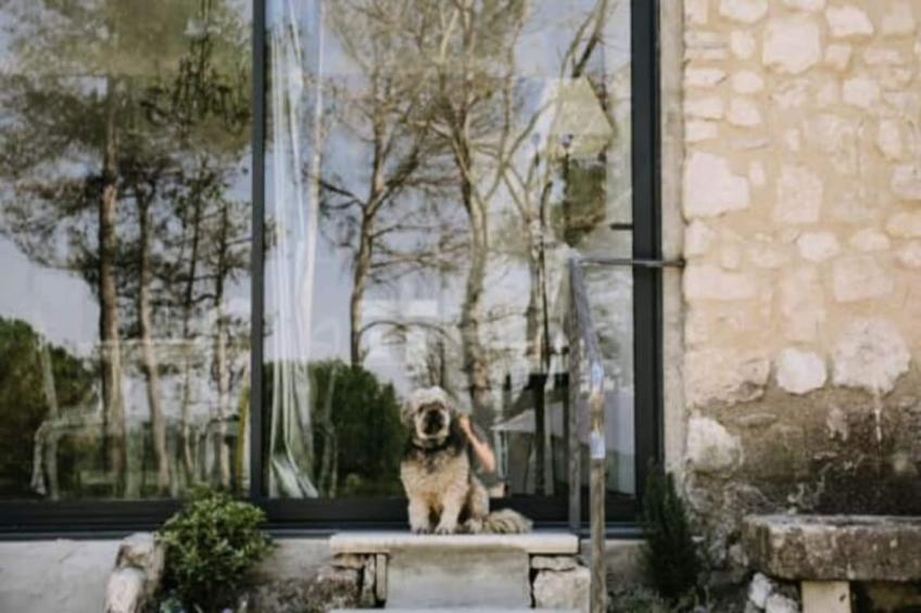 La Volière - Pernes-les-fontaines - foto 19