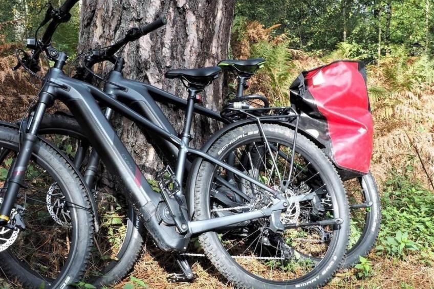 Exklusives Ferienhaus mit Terrasse und Garten - foto 31