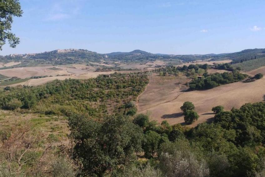Haus Banditello, Blick auf das Tal von Montepulciano - foto 5
