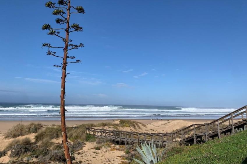 Sonne, Meer, Natur im gemütlichen Ferienhaus - foto 17