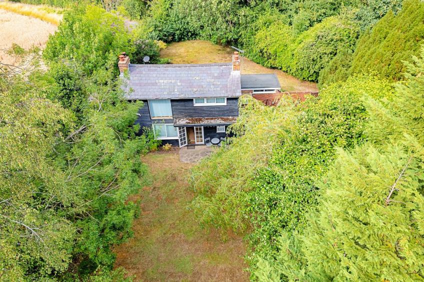 Hollybush Studio - foto 7