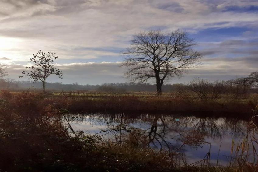 Waterstaete Ossenzijl 4 - foto 20