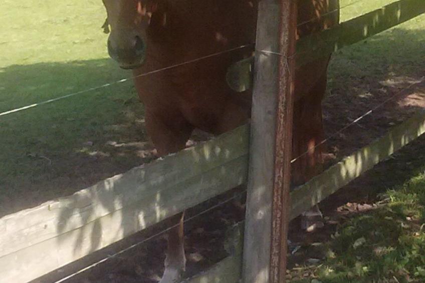 Apartment Laurence - foto 31