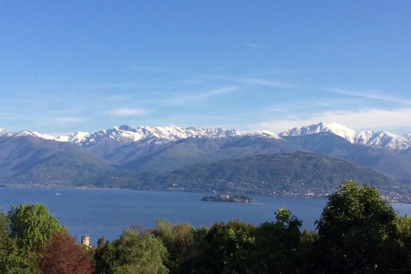 "Casa Bella Vista" - foto 7