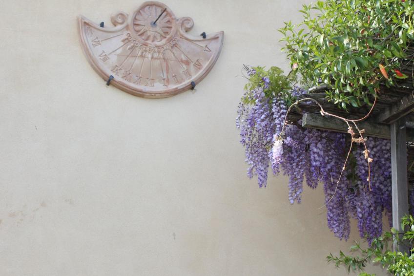 Wohnung im Agrotourismus in Bevagna - foto 20