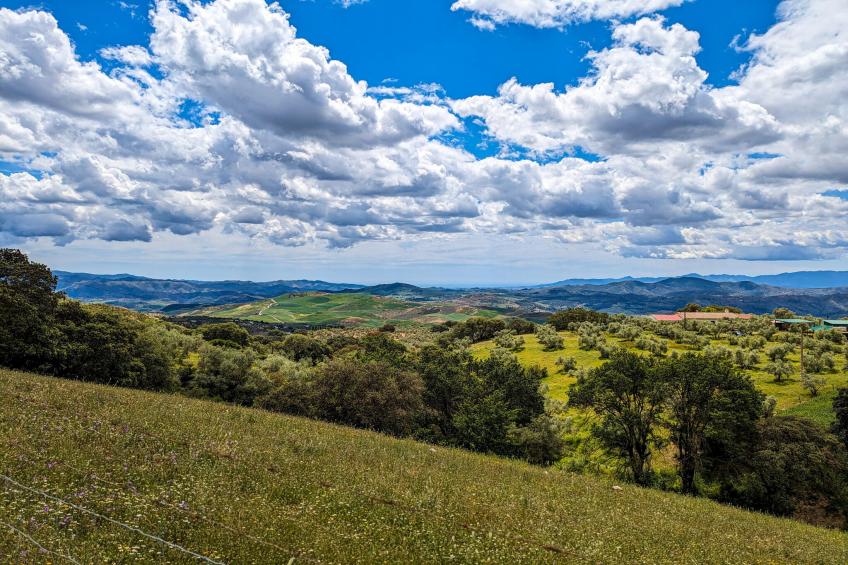 Finca las Chozas - foto 28