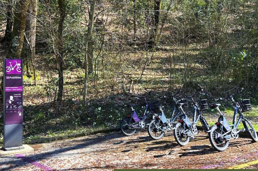 appartamento vacanze "Luxus-Wohnung" - foto 32