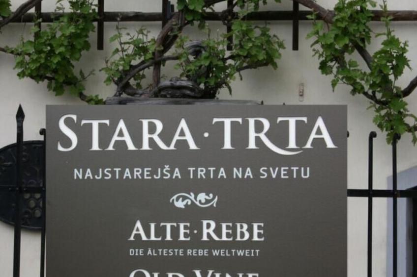 Urlaub für die Seele - Ferienhaus mit Sauna - foto 25