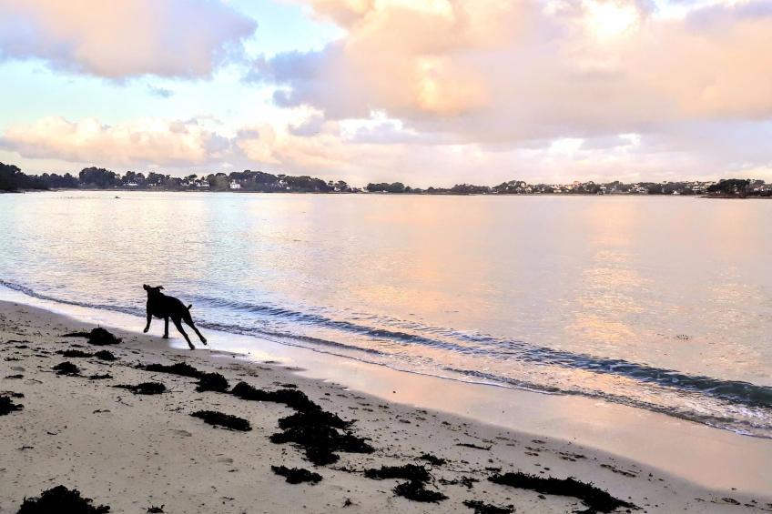 Residenz Keryvet, Meerblick, Strand 2 Minuten entfernt - foto 30