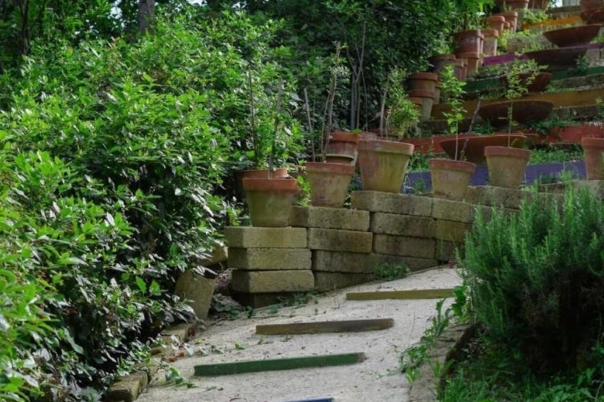 Studio  BUBO  - Pool - Ausblick- Kunst - foto 31