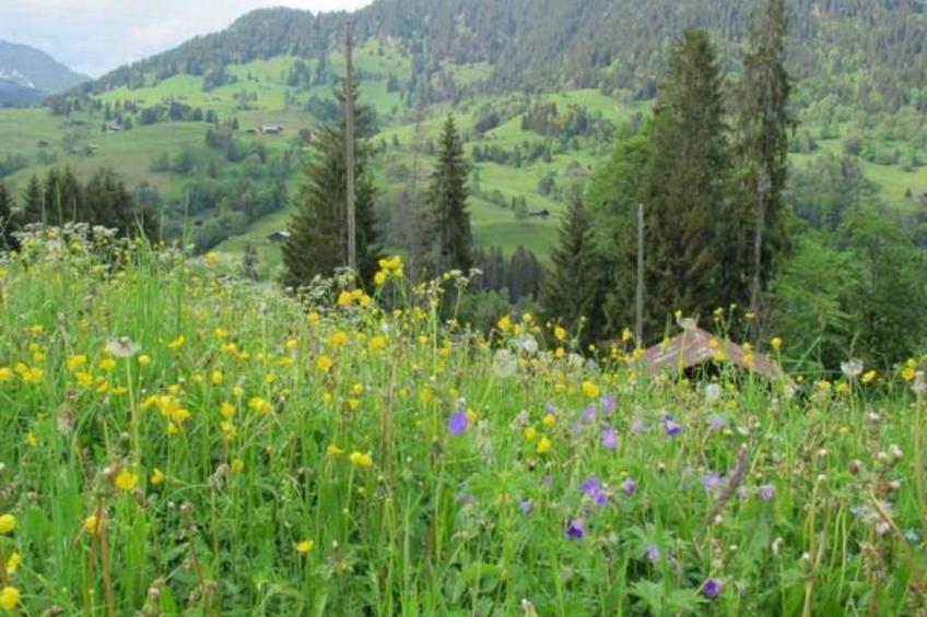 Authentisches Schweizer Alpenchalet aus dem 18. Jh. - foto 28