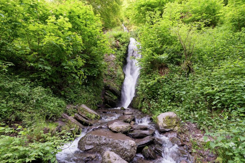 Le Jardin des Eaux - foto 34