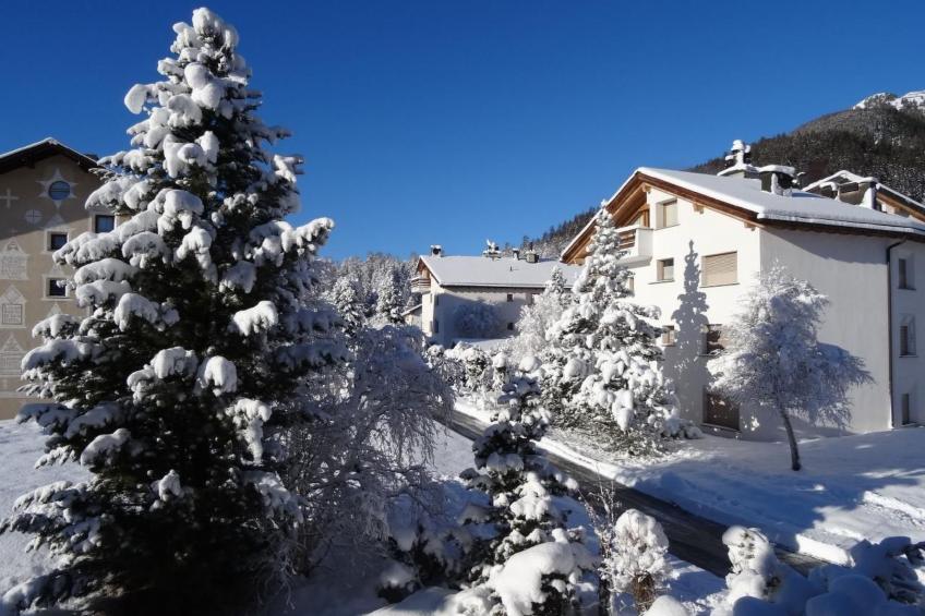 Chesa Arettas - foto 26