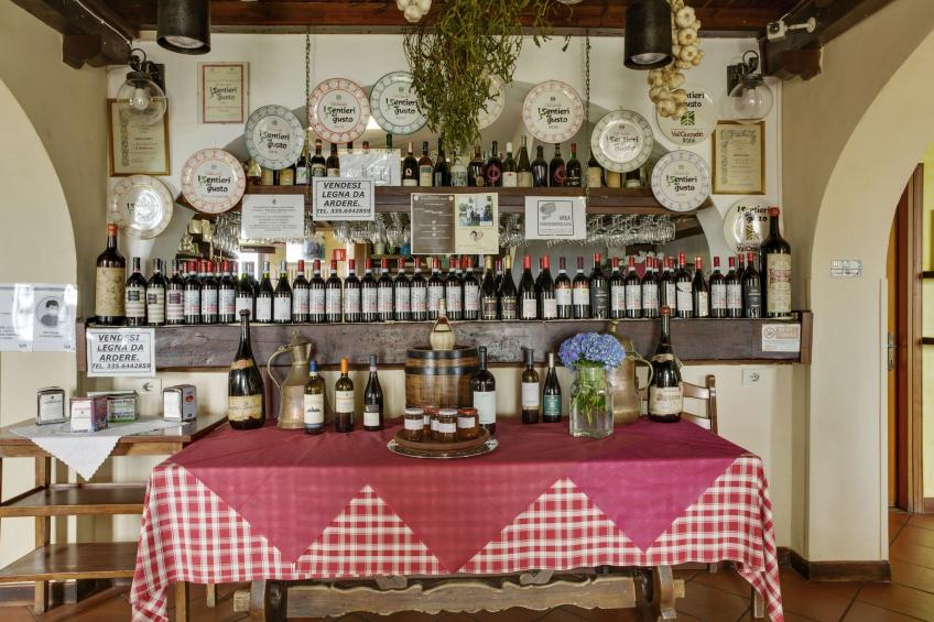 Rododendro - foto 30