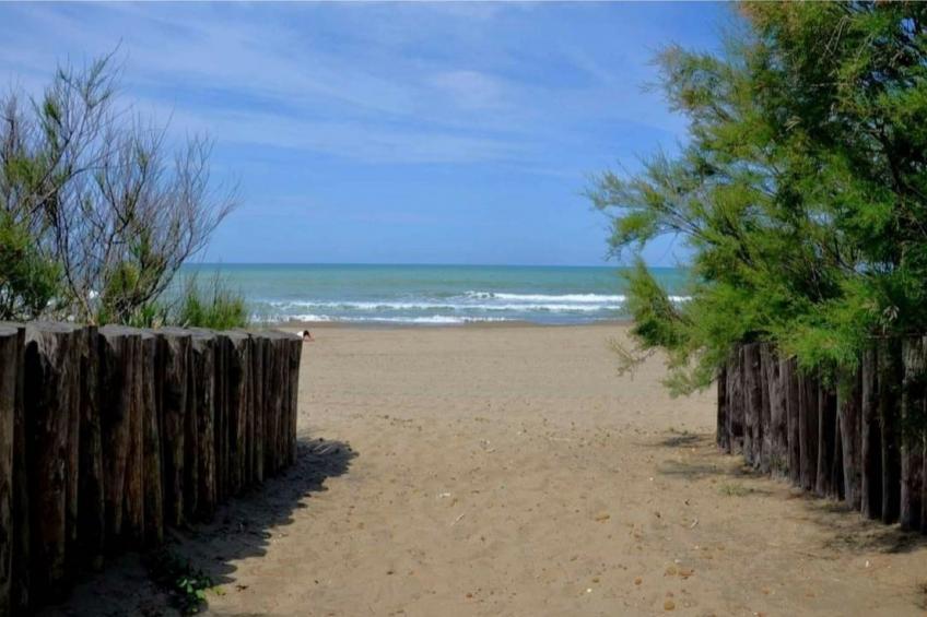 APP 6 - foto 29