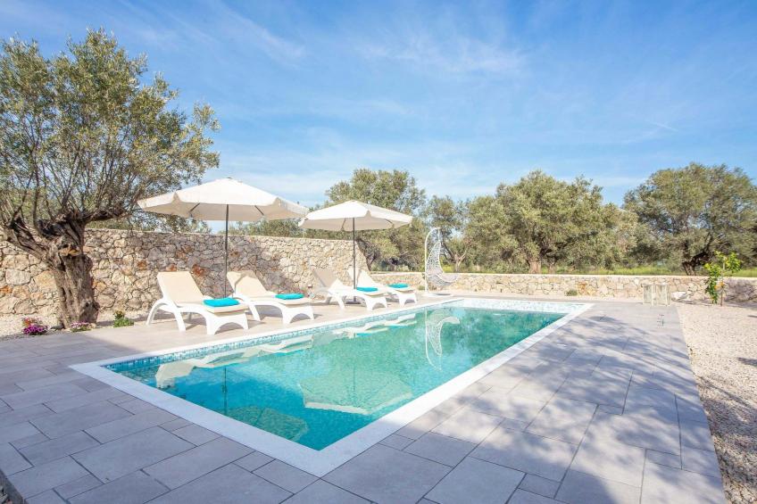 Kalathos Traum - Galazio Traum - foto 16