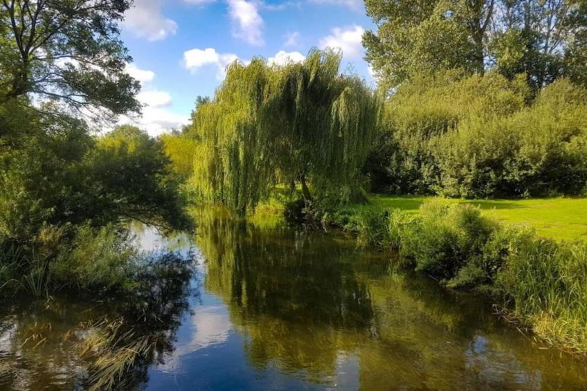 Bulrush Bell Tent - foto 29