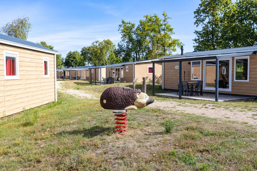 Chalet - Camping de Duinhoeve 'Bosdier' - foto 43