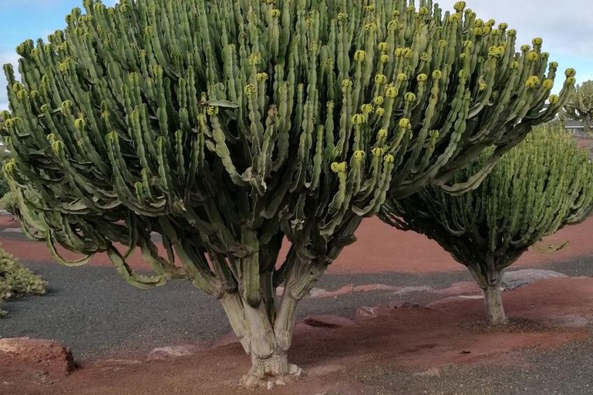 mit Whirlpool - foto 44