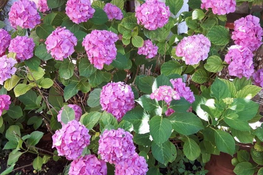 mit Wasserblick - foto 21