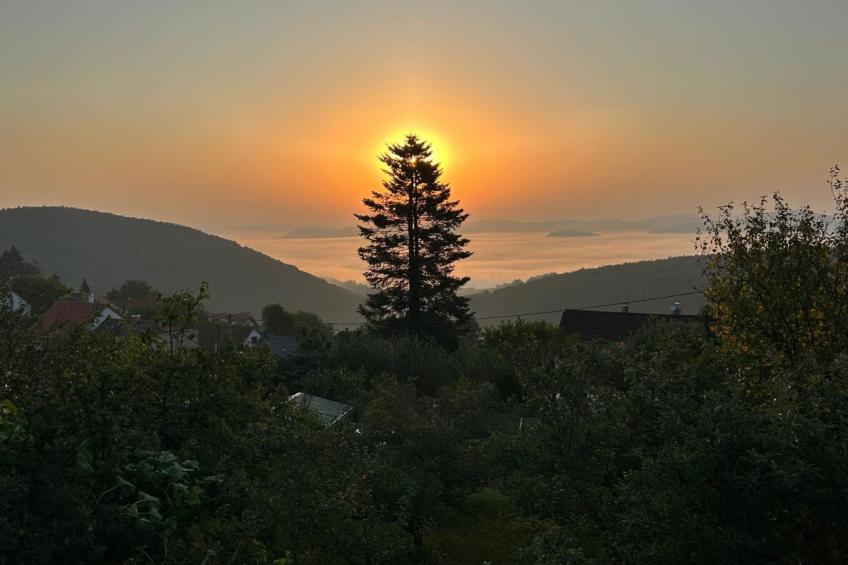 Hillside View - foto 20