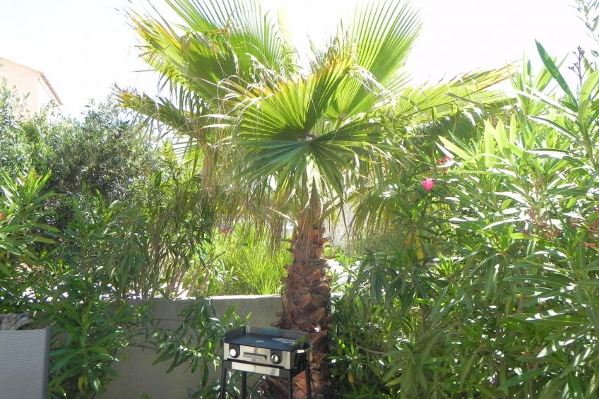 Residence du Grazel - foto 25