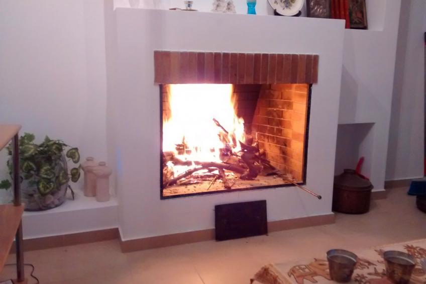 neben Orangenbaum-Obstgarten - foto 12