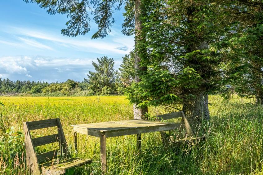 "Engelina" - 950m from the sea in NW Jutland - foto 10