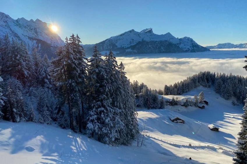 Chalet Bergruh - foto 37