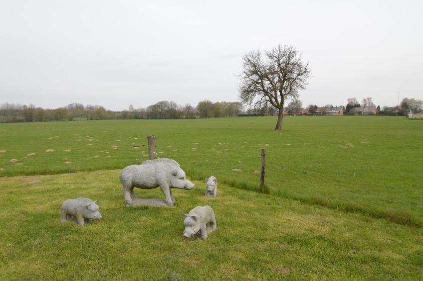 Gite Le Renard - foto 39