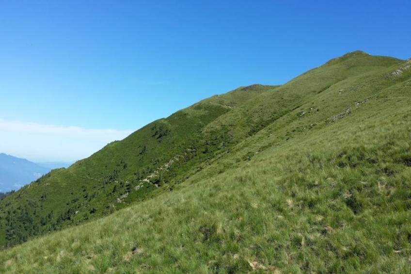 Terres de France - Appart'Hotel le Splendid - foto 12