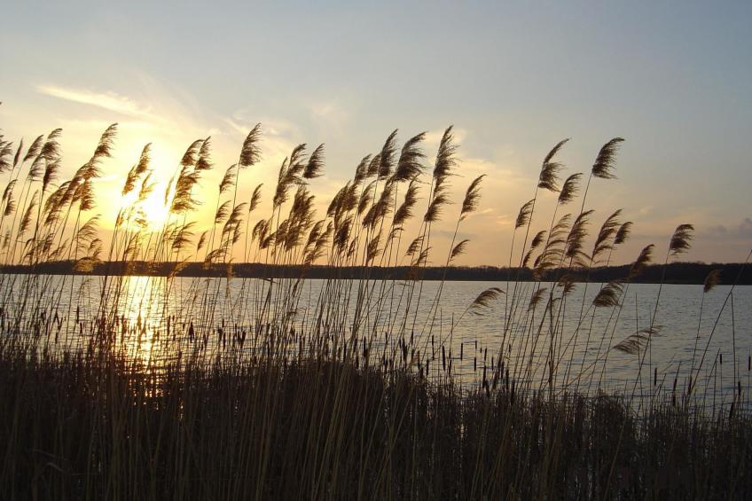 Helle Ferienwohnung für drei Personen - foto 11