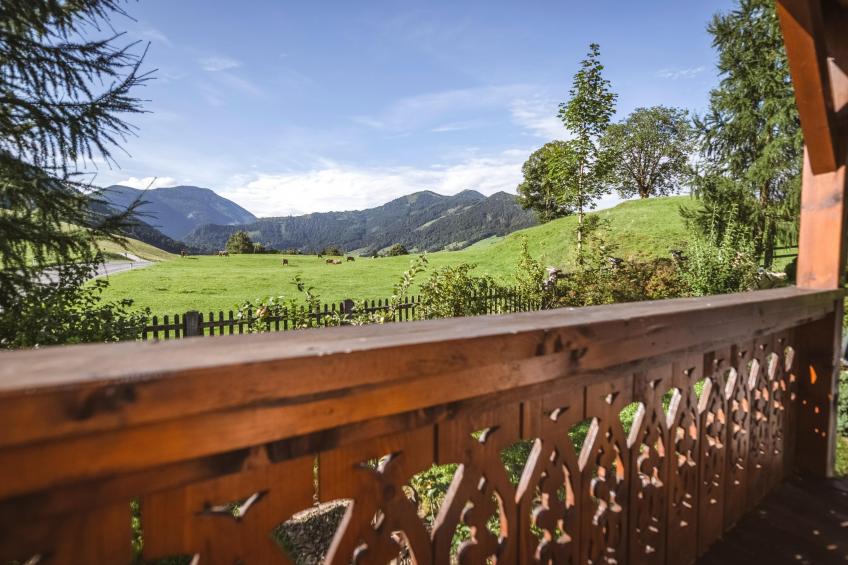 Naturpark Chalet Schladming-Dachstein - foto 6