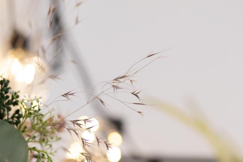 Apartment 54 - foto 12