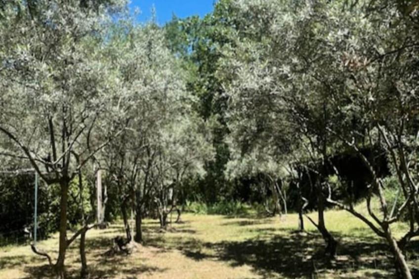 Propriété D'exception Au Coeur Du Luberon - foto 35