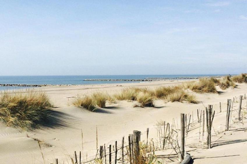 Cap Camargue B N 26 - 2P4 - foto 10