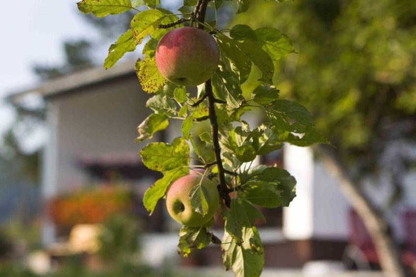 "Lana" mit Whirlpool - foto 2