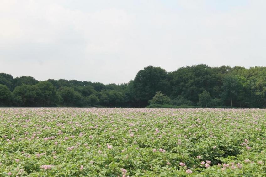 Vakantiepark de Katjeskelder 10 - foto 26