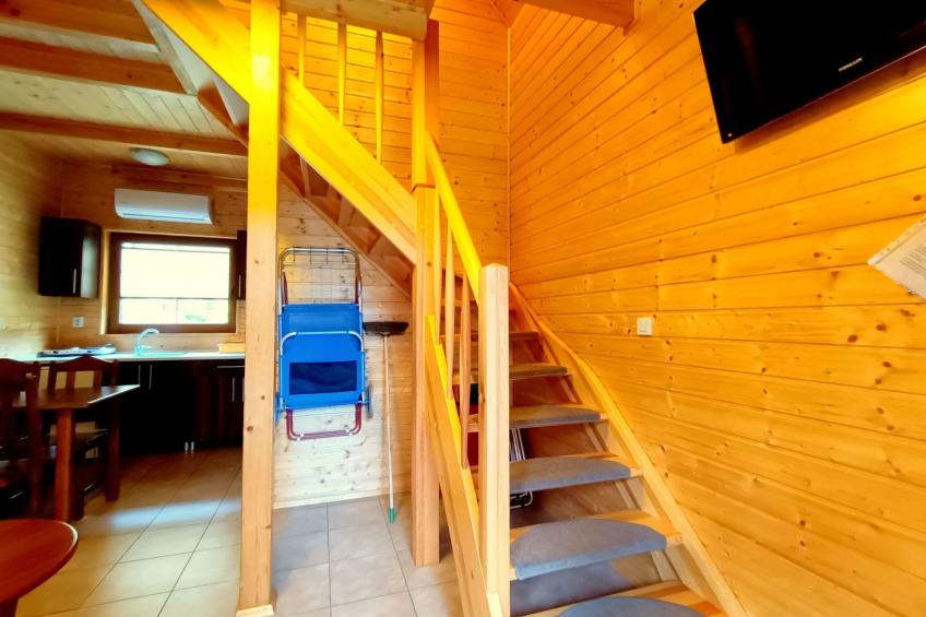 "Paradise Star Bobolin" - foto 9