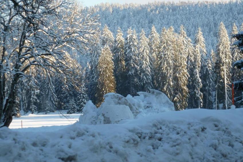 Chalet Désir, Lajoux - foto 32