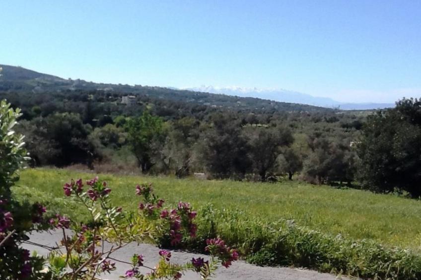 Villa Stefanos, Meerblick, privater Pool, Rethymno - foto 37