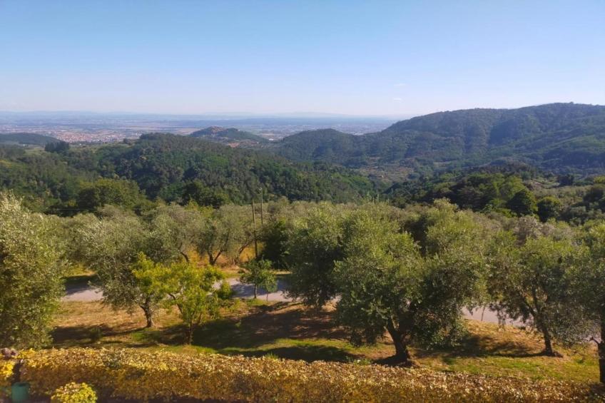 Casa dei Sogni - foto 35