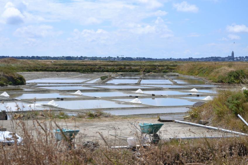 für 7 Personen - foto 38