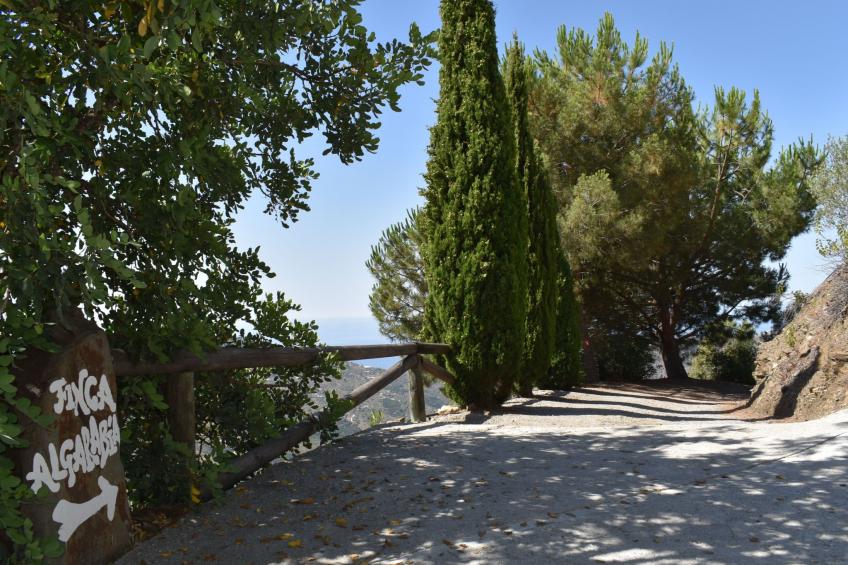 Finca Algarabia mit privatem Pool - foto 22