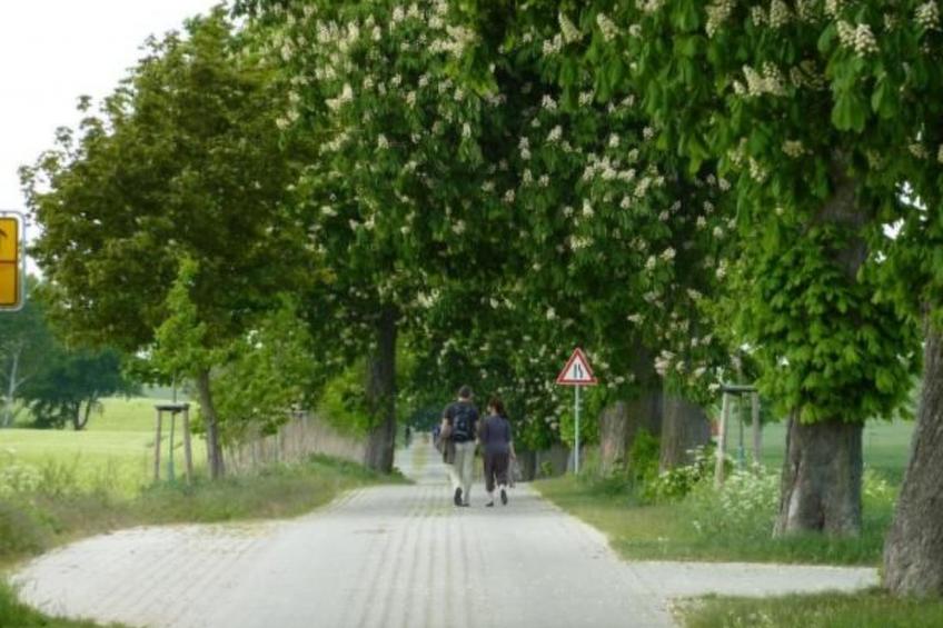 Mueritzbrise 3 mit Terrasse free WiFi - foto 10