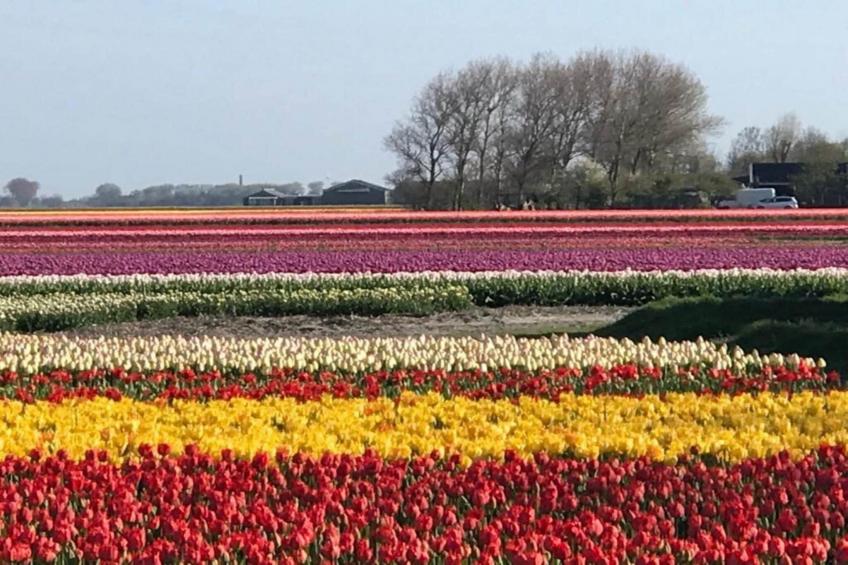 Ruyghe Hoeck 4 - foto 18