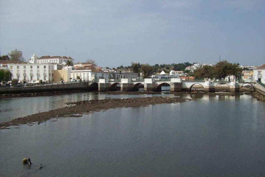 203746 - foto 17